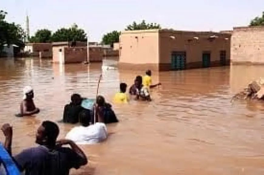 متحدث الصليب الأحمر: نعمل على تخفيف معاناة متضررى السيول في السودان