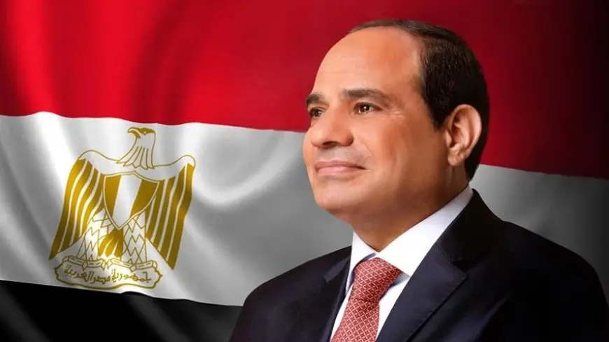 الرئيس السيسي يعود إلى أرض الوطن بعد زيارته لتركيا