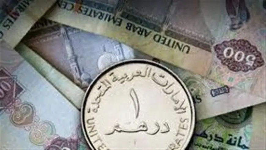 سعر صرف الدرهم الإماراتي أمام الجنيه المصري اليوم