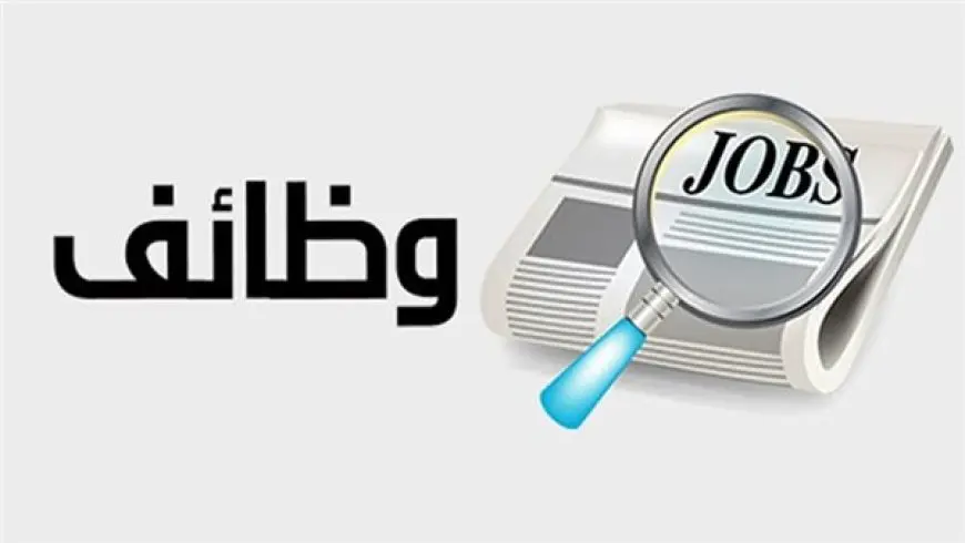 وظائف خالية.. 3744 فُرصة عمل جديدة في 82 شركة