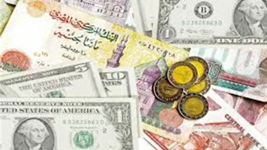 أسعار العملات اليوم في السوق السوداء والبنوك مقابل الجنيه المصري الثلاثاء 5-11-2024