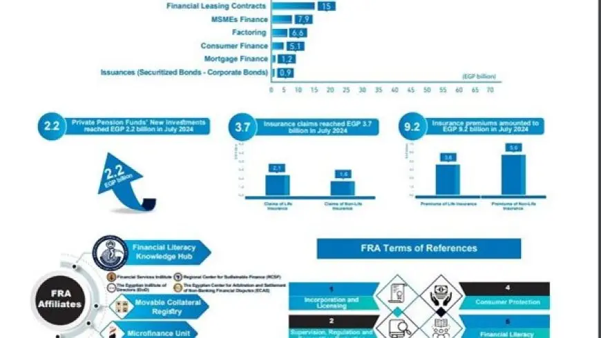 62 مليار جنيه إجمالي التمويل الممنوح في القطاع المالي غير المصرفي