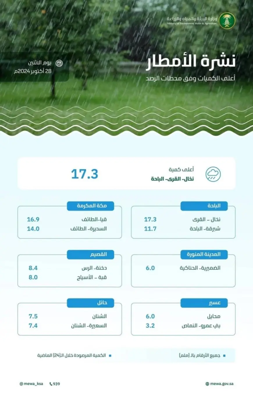 «البيئة»: 8 مناطق تسجل هطول الأمطار في 36 محطة والباحة تتصدر بـ 17.3 ملم