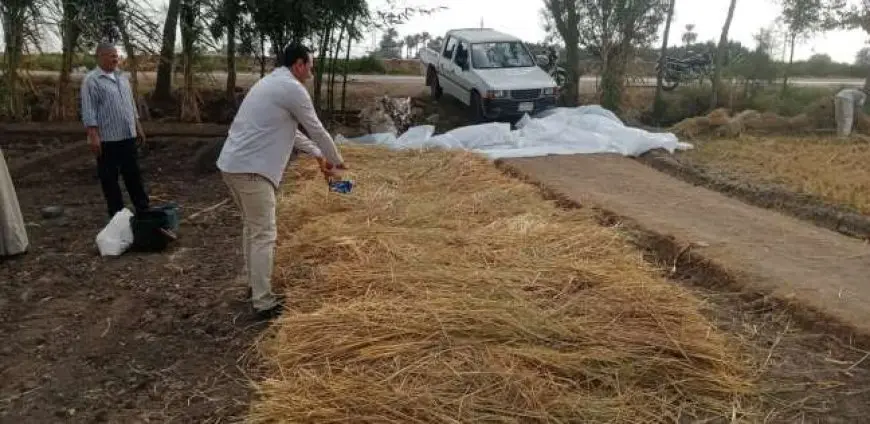 الزراعة تعلن انتهاء موسم حصاد الأرز.. واستمرار أعمال منظومة جمع وتدوير القش