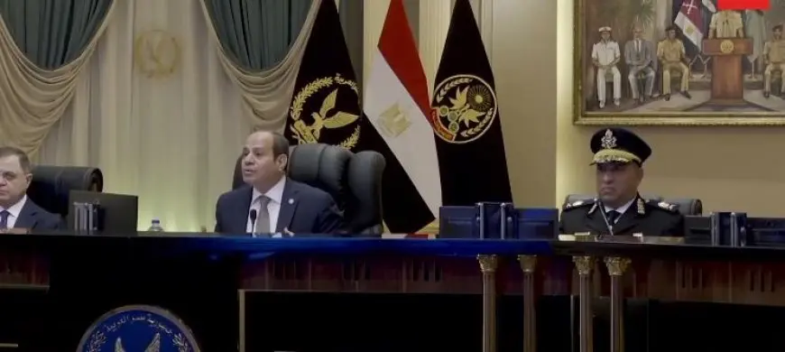 الرئيس السيسي: مصر في حاجة إلى كل دولار