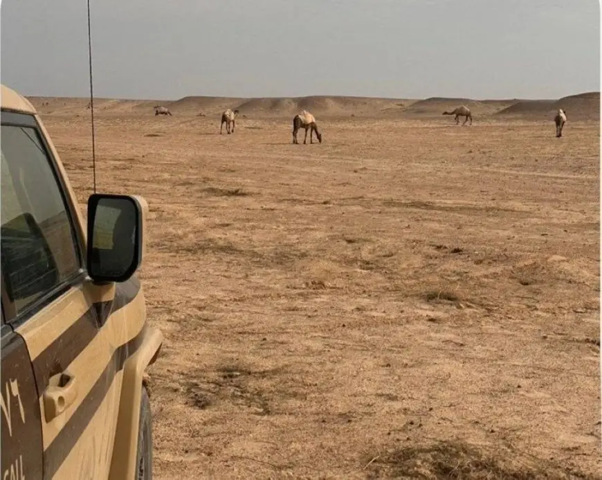 ضبط خليجي مخالف في مواقع محظورة بمحمية الملك عبدالعزيز