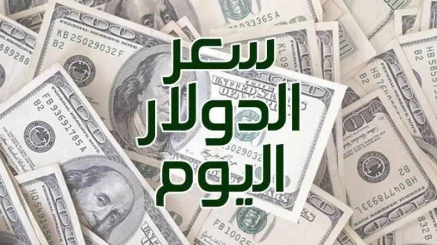 سعر الدولار في السوق السوداء اليوم الثلاثاء 31 ديسمبر 2024 سعر الدولار في البنك مقابل الجنيه المصري