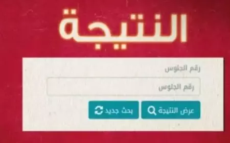 بوابه التعليم الاساسي نتائج الطلاب 2025.. نتائج الصف الأول والثاني الإعدادي برقم الجلوس والاسم