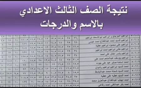 بالرقم القومي.. نتيجة الصف الثالث الابتدائي بالاسم 2025 عبر بوابة التعليم الاساسي eduserv.cairo.gov.eg