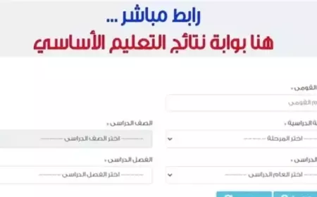 لينك بوابة التعليم الاساسي برقم الجلوس للطلاب.. نتيجة الصف الأول الإعدادي الترم الأول 2025
