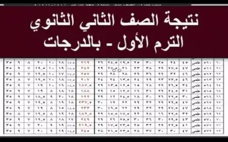 تانية ثانوي.. نتيجة الصف الثاني الثانوي 2025 الترم الاول برقم الجلوس وبالاسم عبر موقع وزارة التربية والتعليم