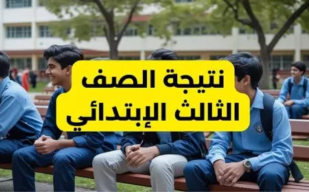 بوابة التعليم الأساسي برقم الجلوس.. نتيجة الصف الثالث الابتدائي 2025 الترم الأول عبر eduserv.cairo.gov.eg