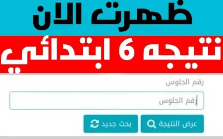 نتيجه سته ابتدائي…رابط بوابة التعليم الاساسي الصف السادس الابتدائي 2025 برقم الجلوس والاسم