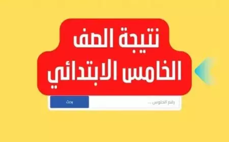 بوابة التعليم الاساسي بالرقم الجلوس.. نتيجة الصف الخامس الابتدائي الترم الاول 2025 عبر الموقع الرسمي eduserv.cairo.gov.eg