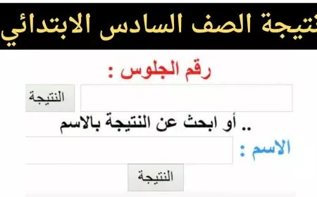 نتيجة الصف السادس الابتدائي 2025 بالرقم القومي عبر بوابة التعليم الاساسي موقع الوزارة