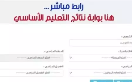 نتيجة رابعة وخامسة وسادسة ابتدائي 2025 بالاسم عبر بوابة التعليم الاساسي نتائج الطلاب 2025 بالرقم القومي