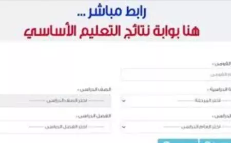 طلاب القاهرة.. إعلان نتائج سنوات النقل بالقاهرة الترم الأول بوابه التعليم الاساسي 2025 عبر eduserv.cairo.gov.eg