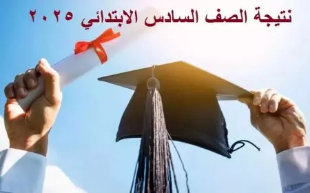 لينك رسمي.. نتيجة الصف السادس الابتدائي 2025 الترم الاول في جميع المحافظات