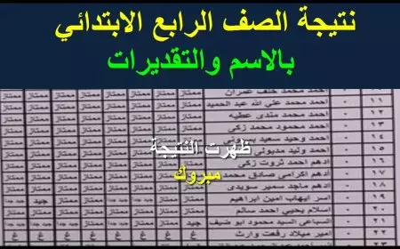 نتيجتك بالرقم القومي.. نتيجة الصف الرابع الابتدائي 2025 الترم الاول على بوابة التعليم eduserv.cairo.gov.eg