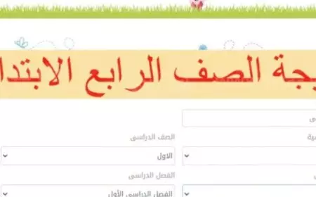 موقع مديرية التربية والتعليم.. موعد نتيجة الصف الرابع الابتدائي الترم الثاني 2025 محافظة الغربية برقم الجلوس او بالاسم