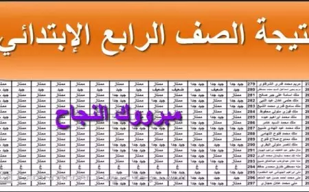 استعلم الان.. رابط نتيجة الصف الرابع الابتدائي 2025 برقم الجلوس عبر موقع وزارة التربية والتعليم
