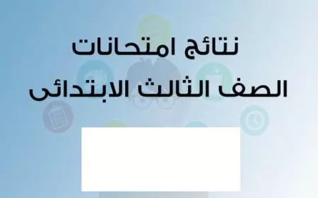 مبروك للناجحين.. نتيجة الصف الثالث الابتدائي الترم الأول 2025 برقم الجلوس والاسم على بوابة التعليم الأساسي
