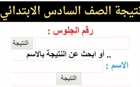 الأن رسميا بالجيزة.. نتيجة الصف السادس الابتدائي الترم الأول 2025 محافظة الجيزة برقم الجلوس والاسم