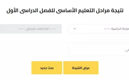 رسمياً.. رابط نتيجة الصف الثالث والرابع والخامس والسادس الإبتدائي برقم الجلوس الترم الاول 2025 الجيزة