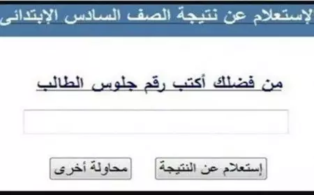 رابط نتيجة الصف السادس الابتدائي بمحافظة القاهرة باستخدام الرقم القومي 2025