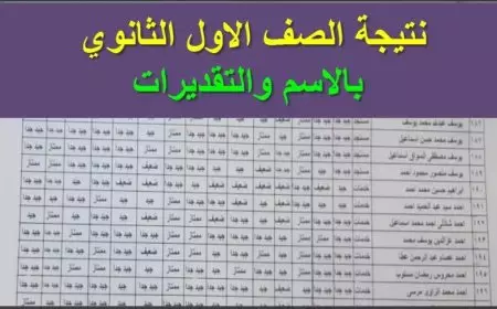 نتيجة الصف الاول الثانوى برقم الجلوس الترم الاول 2025 في محافظة الجيزة عبر gizaedu.net