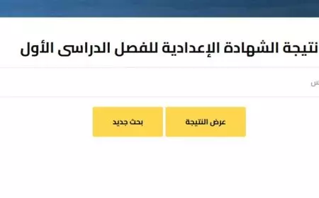 بنسبة نجاح 85.9% وبرقم الجلوس.. نتيجة الصف الثالث الإعدادي في محافظة الجيزة