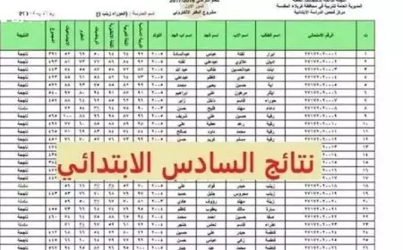 رابط نتيجة الصف السادس الابتدائي برقم الجلوس 2025 محافظة القاهرة عبر eduserv.cairo.gov.eg