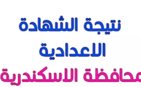 مليون مبروك.. نتيجة الشهادة الإعدادية محافظة الاسكندرية الترم الاول 2025 برقم الجلوس عبر البوابه الالكترونية