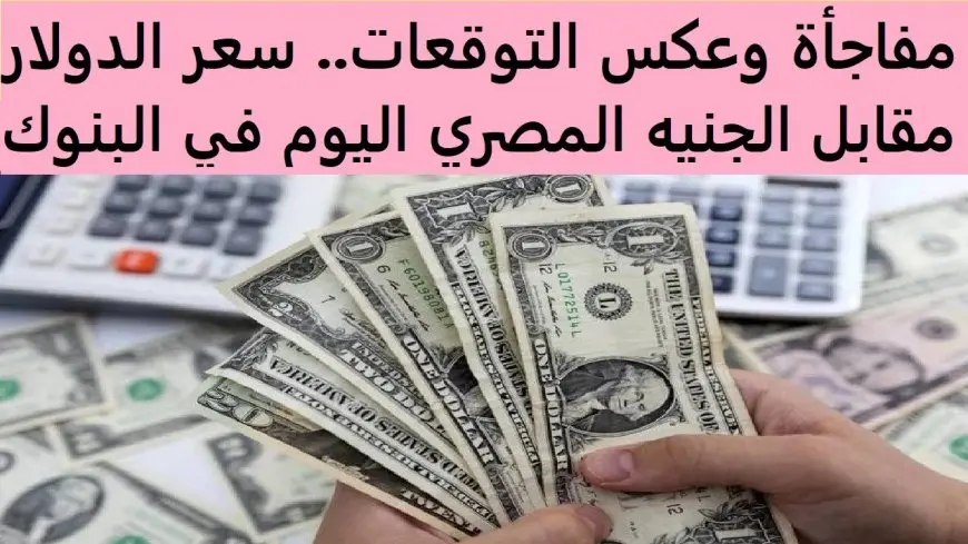 بكام الامريكي؟.. سعر الدولار اليوم الاثنين 6 يناير 2025 فى البنوك المصرية؟ وداخل تعاملات السوق السوداء