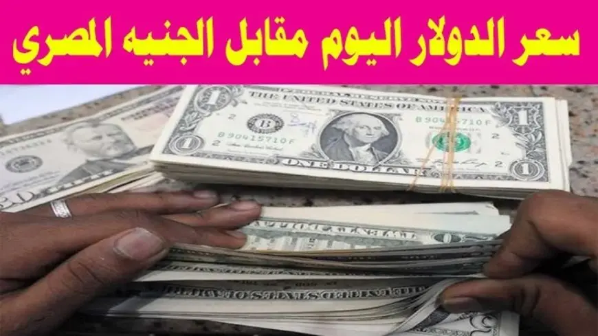 سعر الدولار اليوم في السوق السوداء السبت 25 يناير 2025 وفق آخر تحديثات لقيمتي البيع والشراء في البنوك