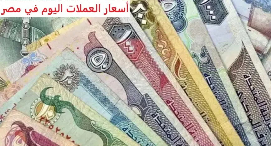 اسعار العملات اليوم في مصر الجمعة 10 يناير 2025 أسعار العملات البنك الاهلي للشراء و البيع