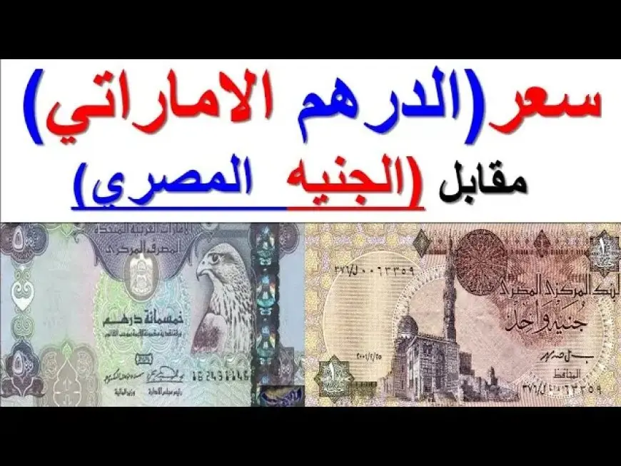 سعر الدرهم الاماراتي اليوم مقابل الجنية المصري الجمعة 10 يناير 2025 بجميع البنوك بناءً علي اخر تحديث