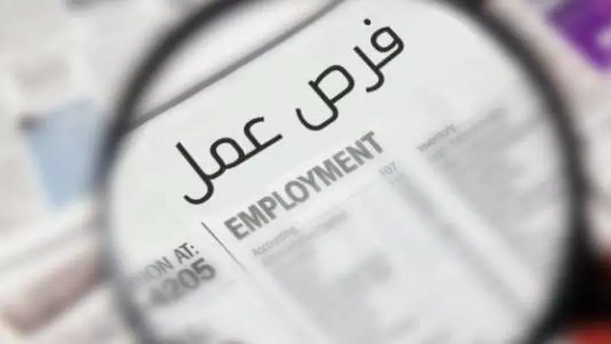 وظائف حكومية للشباب.. فرص عمل في 4 وزارات وهيئات بخطوات سهلة للتقديم