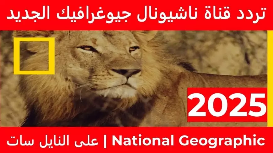 نزلها الأن.. تردد قناة ناشيونال جيوغرافيك 2025 لمتابعة المغامرات الطبيعية علي أصولها