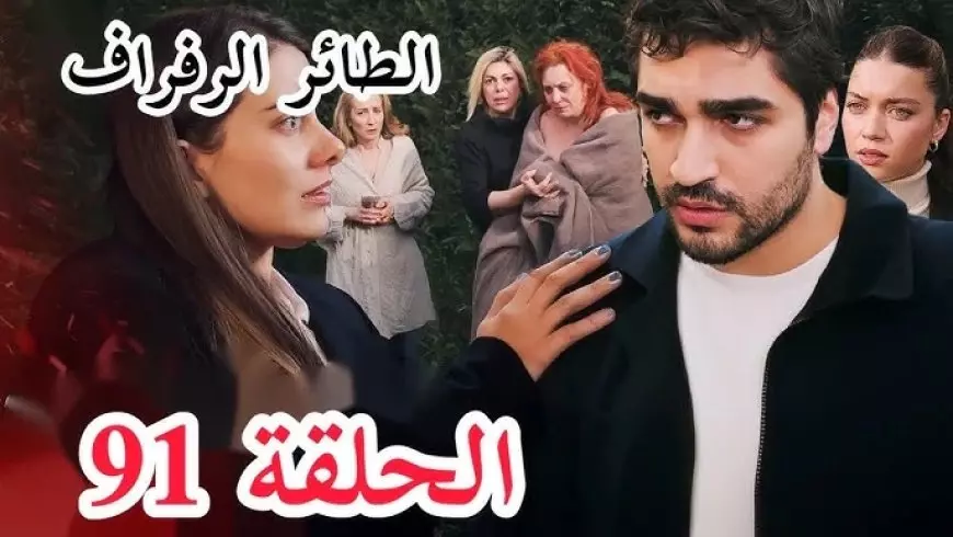 ”بجودة HD” مسلسل الطائر الرفراف الحلقة 91 Yalı Çapkını قصة عشق.. لا تفوتها