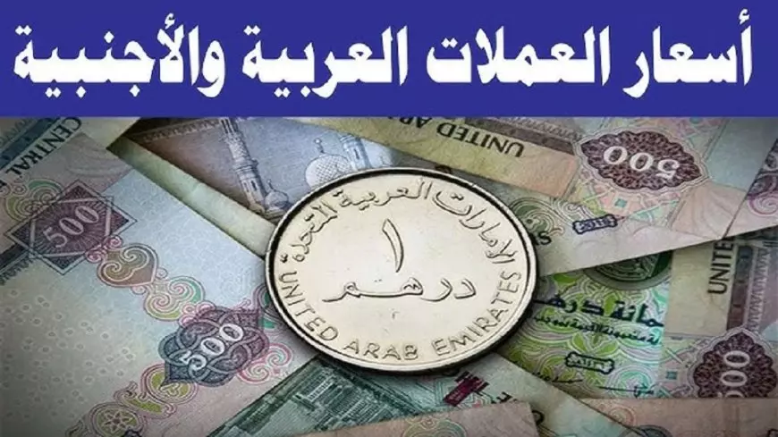 أسعار العملات اليوم في السوق السوداء اليوم في مصر الأحد 19 يناير 2025 بيع وشراء وفقًا لحركة التعاملات