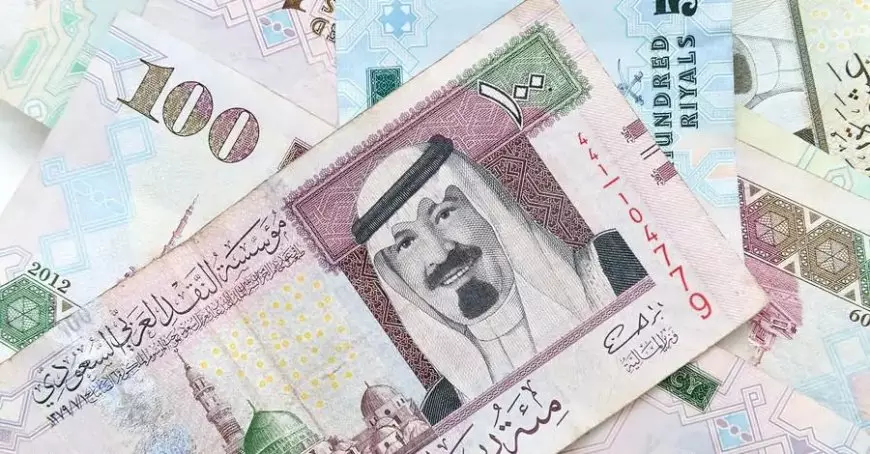 سعر الريال السعودي اليوم الاثنين 20 يناير 2025 أمام الجنيه المصري وتوقعات سعر الريال