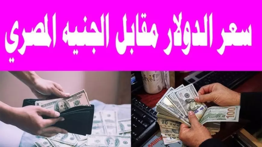 تراجع سعر الدولار اليوم مقابل الجنيه المصري الاثنين 20 يناير 2025 بيع وشراء للمستهلك بالبنوك