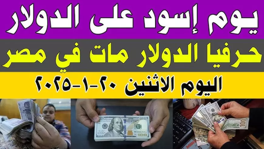 خسارة كبيرة في سعر الدولار مقابل الجنيه المصري في السوق السوداء الأثنين 20 يناير 2025