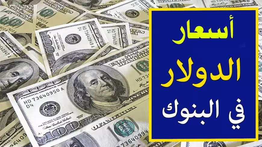 “استقرار مؤقت” سعر الدولار اليوم في البنوك الثلاثاء بتاريخ 21 يناير 2025 مقابل الجنيه المصري