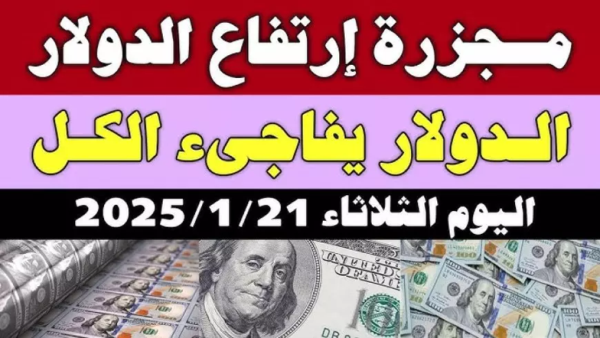 كام سعر 100 الدولار في السوق السوداء؟.. تراجع سعر صرف الدولار مقابل الجنية المصري الثلاثاء 21-1-2025