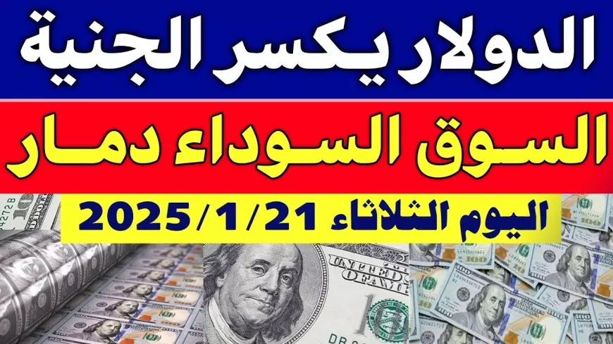 تراجع سعر الدولار اليوم في البنوك مقابل الجنية: تحديث جديد للبيع والشراء