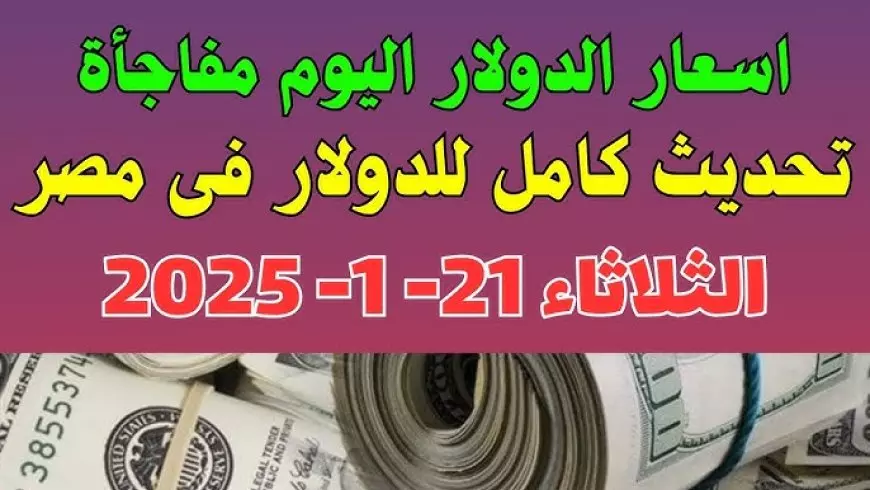 سعر الدولار اليوم في مصر تحديث يومي.. خسارة كبيرة امام الجنية بنهاية التعاملات