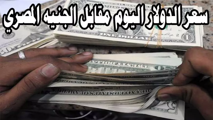 سعر الدولار مقابل الجنيه المصري اليوم الاثنين 17 فبراير 2025 في السوق السوداء والبنوك