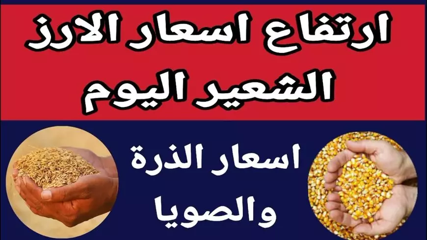 (رفيع وعريض) سعر طن الأرز الشعير اليوم الخميس: اشتري قبل رمضان